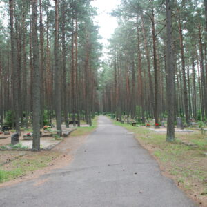 Pärnamäe