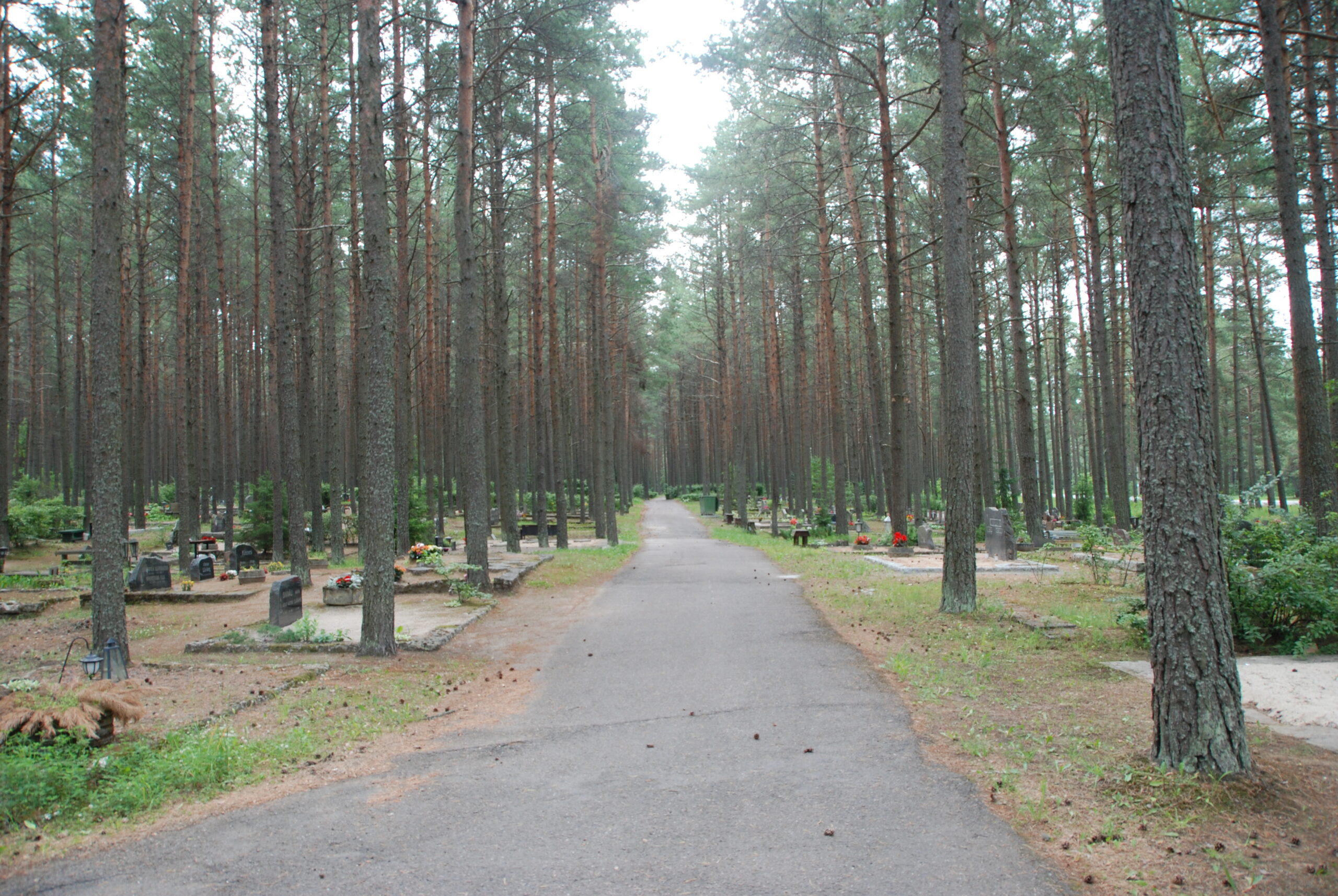 Pärnamäe kalmistu